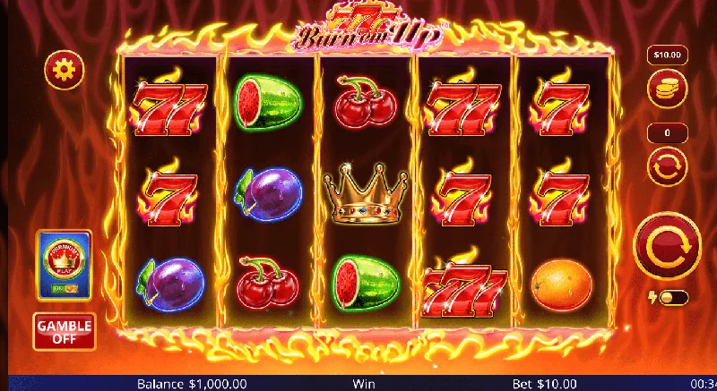Zrzut ekranu 777 Burn 'Em Up
