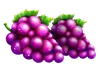 Symbol winogron Basket Bounty