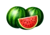 Symbol arbuza Basket Bounty