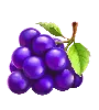 Symbol winogron Totally Hot